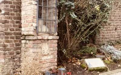 Versteckt am Rheinufer