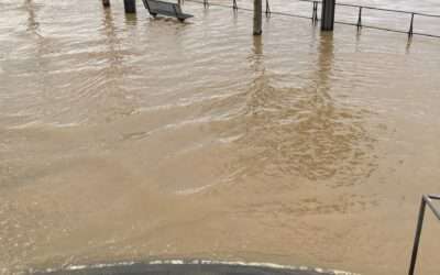  ﻿Land unter! Rheinhochwasser in Bonn