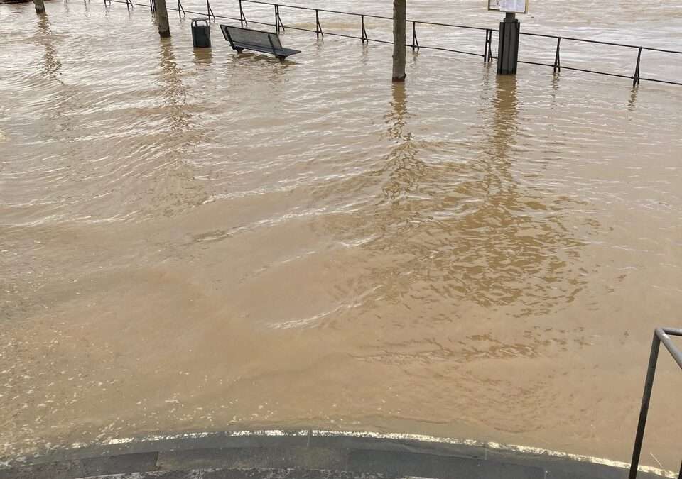  ﻿Land unter! Rheinhochwasser in Bonn
